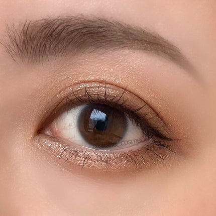 アイカラーレーション/LUNASOL/アイシャドウパレットを使ったクチコミ(3枚目)