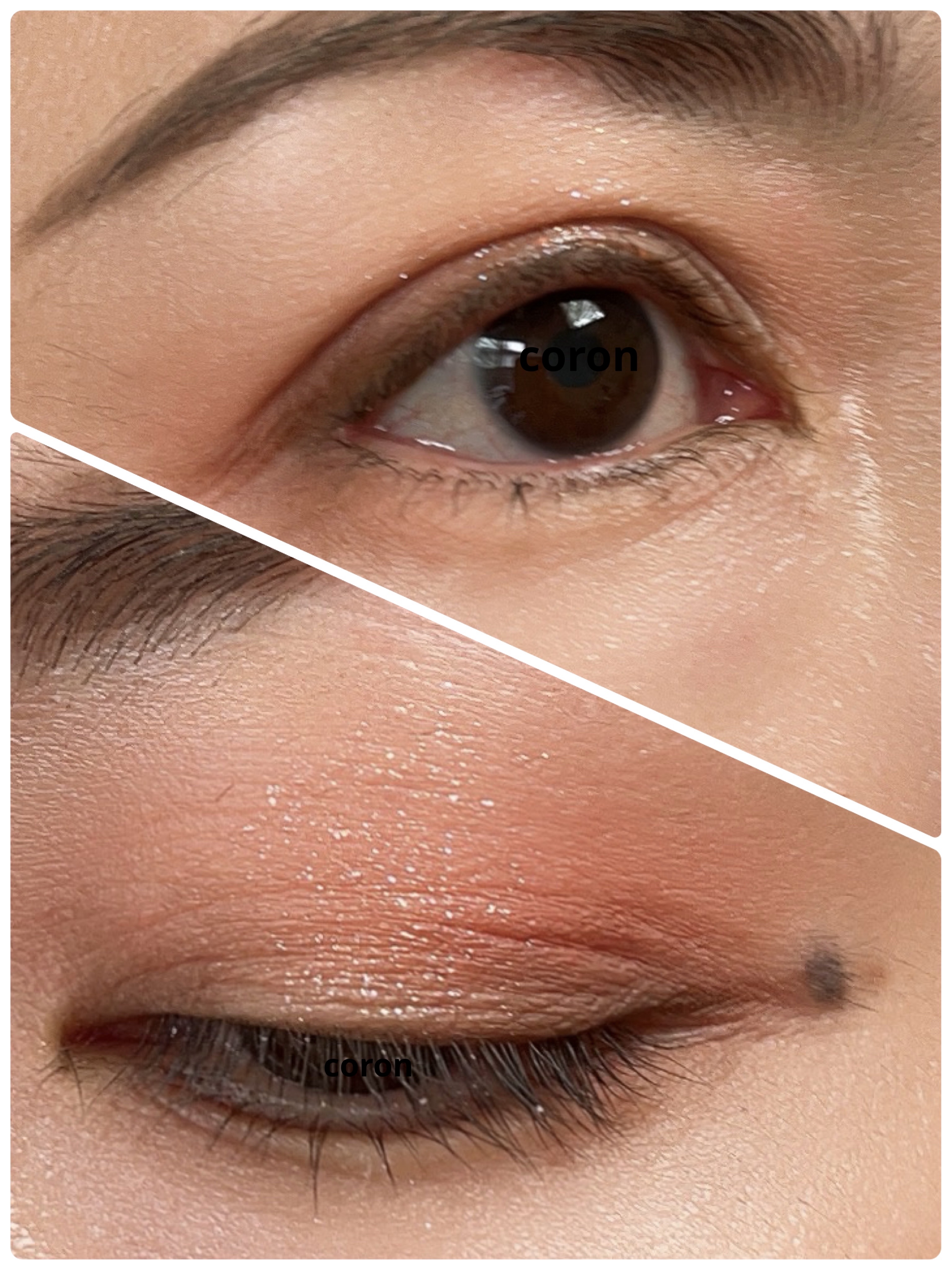 ベターザンパレット 01 パンパスガーデン(PAMPAS GARDEN)/rom&nd/アイシャドウパレットを使ったクチコミ（2枚目）