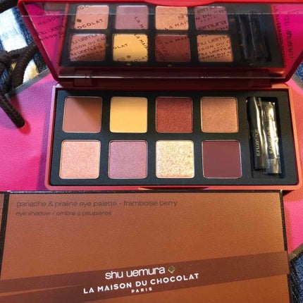 ガナッシュ アンド プラリネ アイパレット/shu uemura/アイシャドウパレットを使ったクチコミ(1枚目)