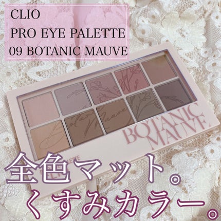 プロ アイ パレット/CLIO/アイシャドウパレットを使ったクチコミ(1枚目)