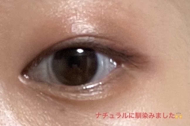 クロマティックス クワッド/shu uemura/アイシャドウパレットを使ったクチコミ（3枚目）