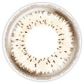205 Pale Jasmine