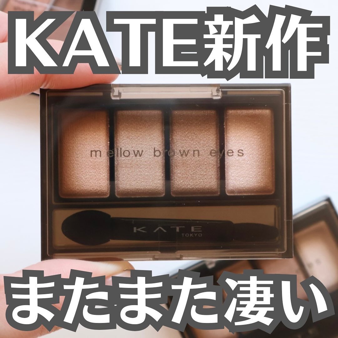 ケイト メロウブラウンアイズ BR-2 ヘーゼルブラウン/KATE/アイシャドウパレットを使ったクチコミ（1枚目）