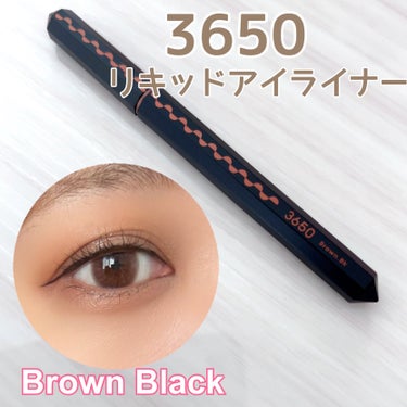 リキッドアイライナー  Brown Black(ブラウンブラック)/3650/リキッドアイライナーを使ったクチコミ（1枚目）