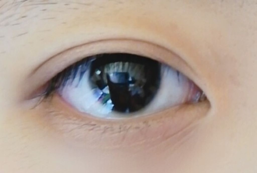 カンコレアイシャドウ/DAISO/アイシャドウパレットを使ったクチコミ(1枚目)