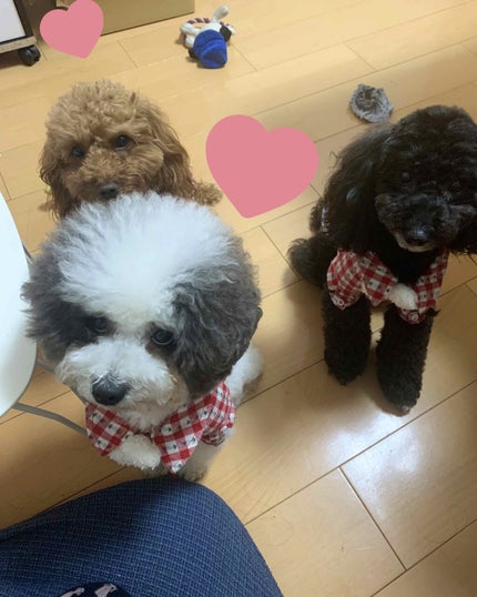 を使ったクチコミ(2枚目)