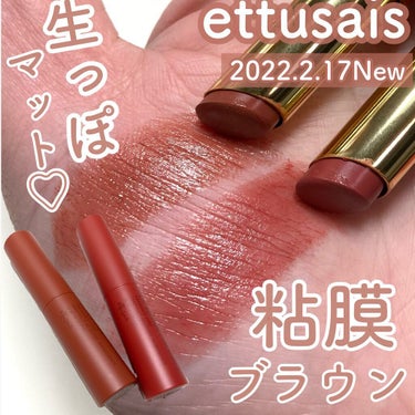 リップエディション(ティントルージュ) R レアマットタイプ/ettusais/口紅を使ったクチコミ（1枚目）