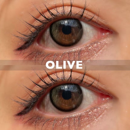 Secretive Kristen/Hapa kristin/カラーコンタクトレンズを使ったクチコミ(2枚目)