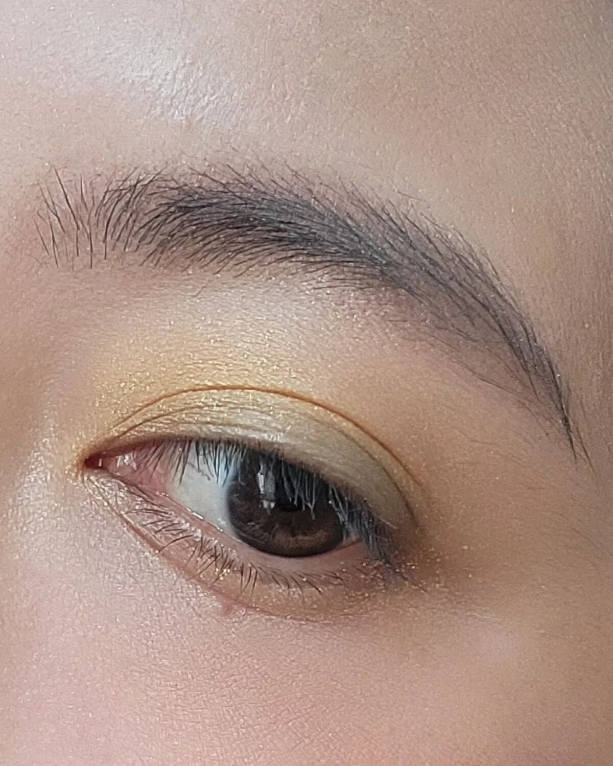 グロウエアリーフィットアイズ/AINOKI/アイシャドウパレットを使ったクチコミ(5枚目)