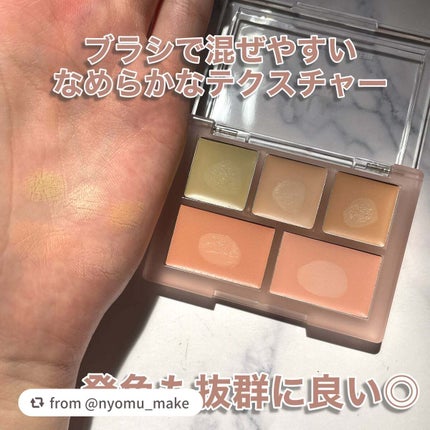 コンシールブレンダーパレット/LUNA/パレットコンシーラーを使ったクチコミ(5枚目)