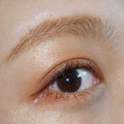 レ キャトル オンブル ツイード/CHANEL/アイシャドウパレットを使ったクチコミ(5枚目)