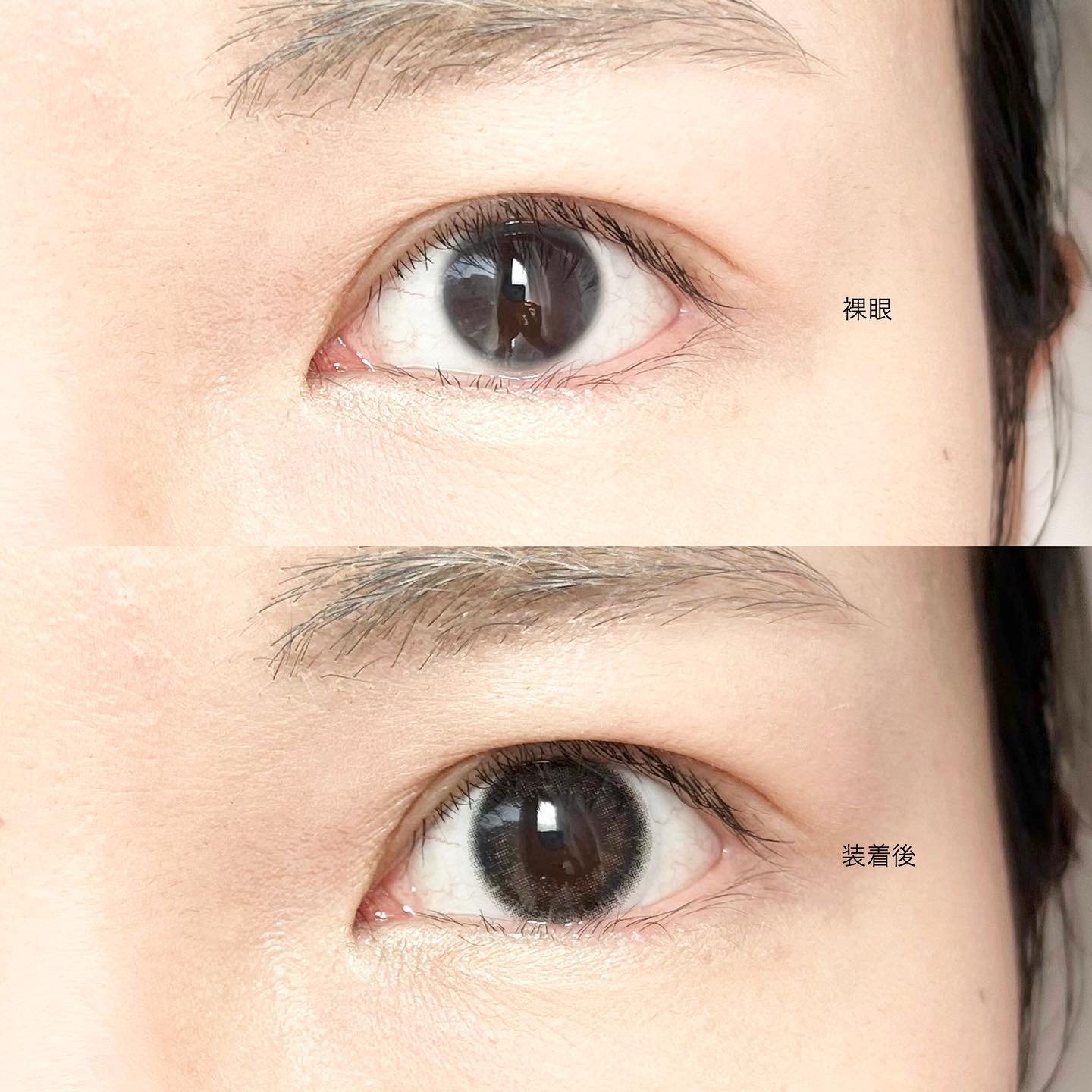 ramurie ラムリエ ウルフルブラック/ramurie/ワンデー（１DAY）カラコンを使ったクチコミ（3枚目）