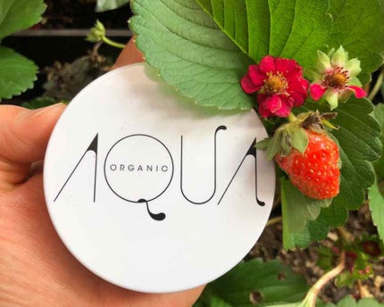 オーガニッククッションコンパクト/アクア・アクア/クッションファンデーションを使ったクチコミ(1枚目)