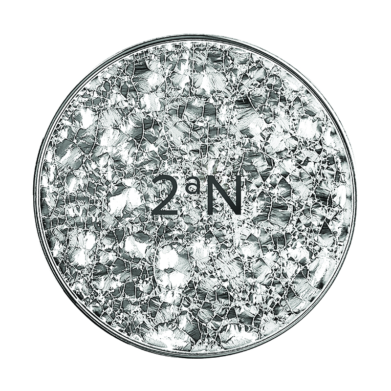 2aN グリーミングテンションパクト