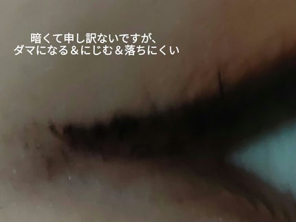 アイデイト リキッドアイライナー/IDATE/リキッドアイライナーを使ったクチコミ(8枚目)