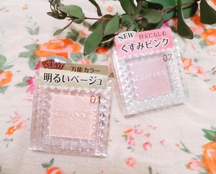 シングルカラーアイシャドウ/CEZANNE/単色アイシャドウを使ったクチコミ(1枚目)