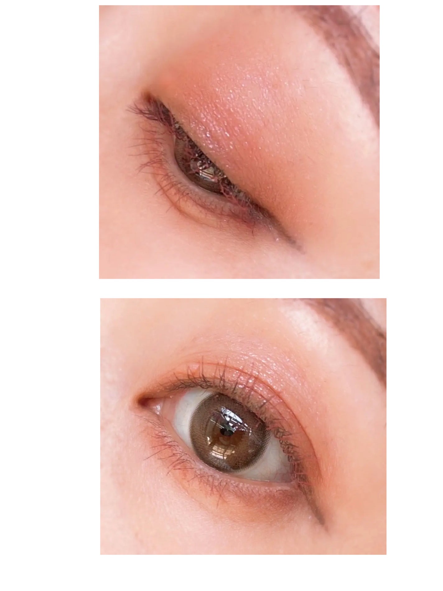 ベージュトーンアイシャドウ/CEZANNE/アイシャドウパレットを使ったクチコミ(3枚目)