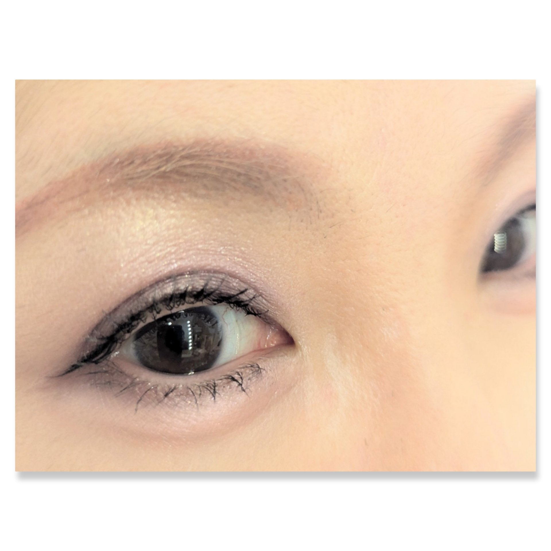 ショコラスウィート アイズ 019 ブルーベリーショコラ/リンメル ロンドン/アイシャドウパレットを使ったクチコミ（2枚目）