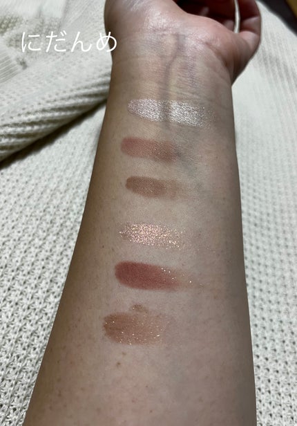 エクスプローラ12色 動物アイシャドウパレット/PERFECT DIARY/アイシャドウパレットを使ったクチコミ(4枚目)