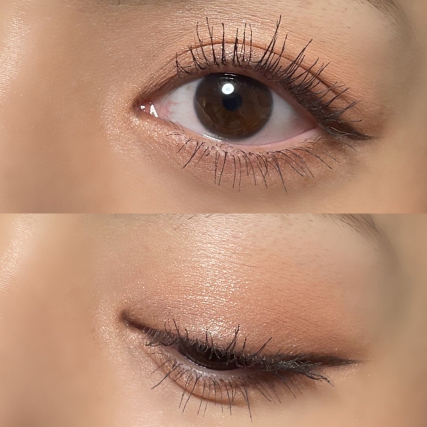 アイパレット/sopo/アイシャドウパレットを使ったクチコミ(4枚目)