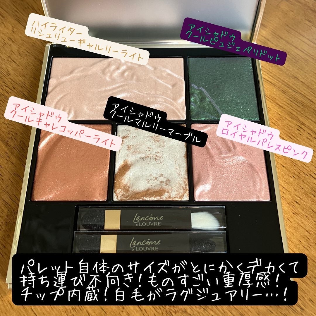 リシュリュー ウィング パレット/LANCOME/アイシャドウパレットを使ったクチコミ(2枚目)