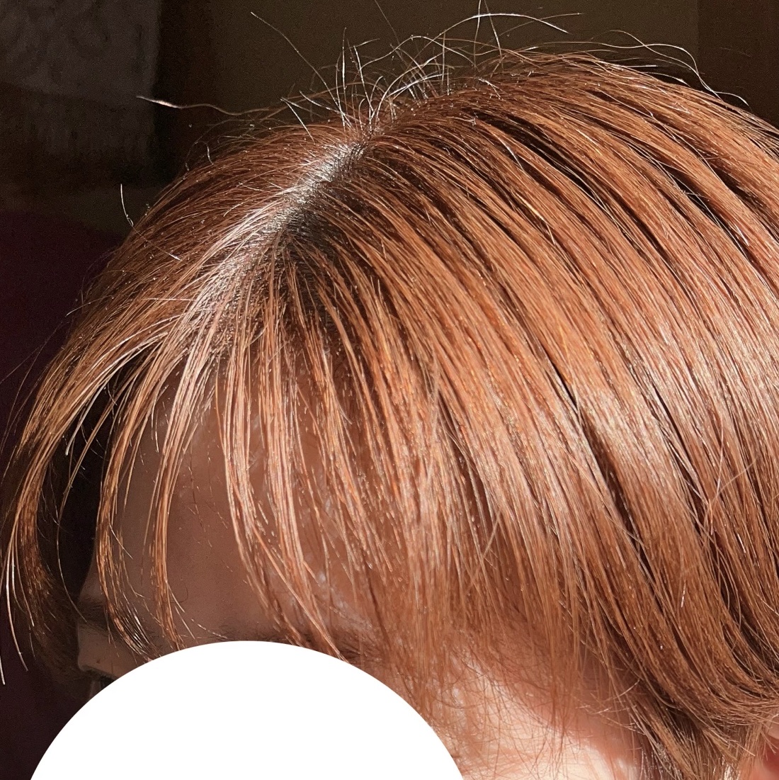 アンドハニー カラー コントロールリペア シャンプー1.0 / ヘアトリートメント2.0/&honey/市販シャンプーを使ったクチコミ（2枚目）