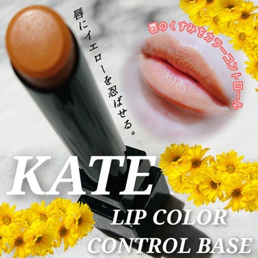 リップカラーコントロールベース /KATE/リップケア・リップクリームを使ったクチコミ（1枚目）