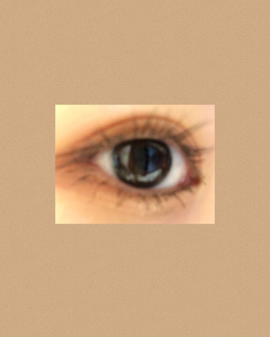 DHCアイラッシュトニック/DHC/まつげ美容液を使ったクチコミ（1枚目）