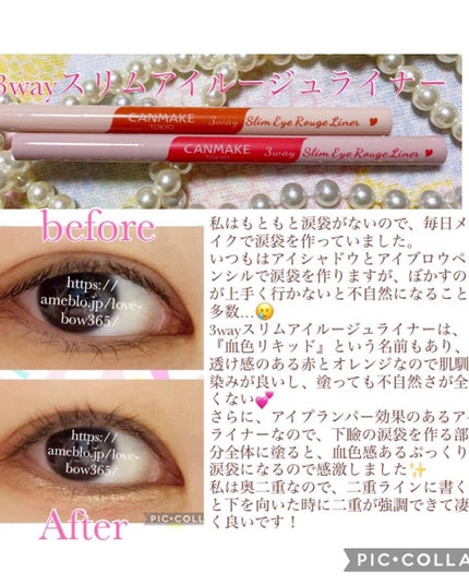 3wayスリムアイルージュライナー/キャンメイク/リキッドアイライナーを使ったクチコミ(3枚目)