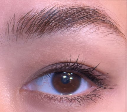 カラーブレンドアイブローマルチパレット/ディエム クルール/パウダーアイブロウを使ったクチコミ(3枚目)