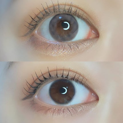 pui @カラコンオタク on LIPS 「˗ˏˋハパクリスティン新作🩰TweedKristinˎˊ˗𓂃𓂃..」(5枚目)