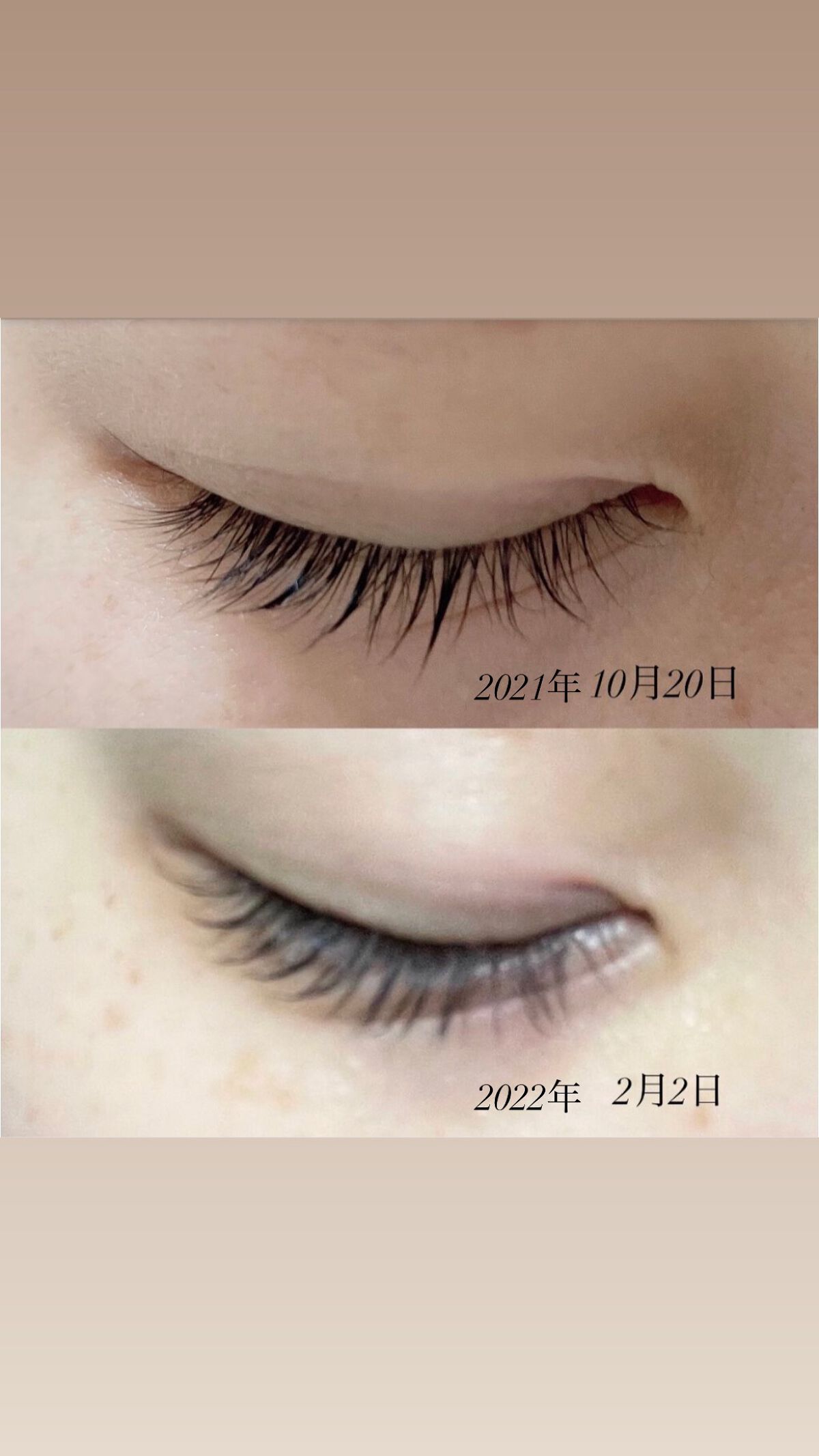 DHCアイラッシュトニック/DHC/まつげ美容液を使ったクチコミ(2枚目)