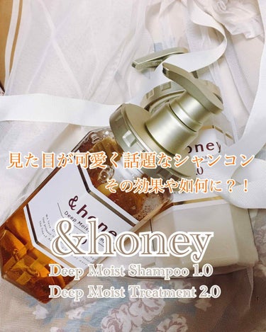 ディープモイスト シャンプー1.0／ヘアトリートメント2.0/&honey/シャンプー・コンディショナーを使ったクチコミ（1枚目）