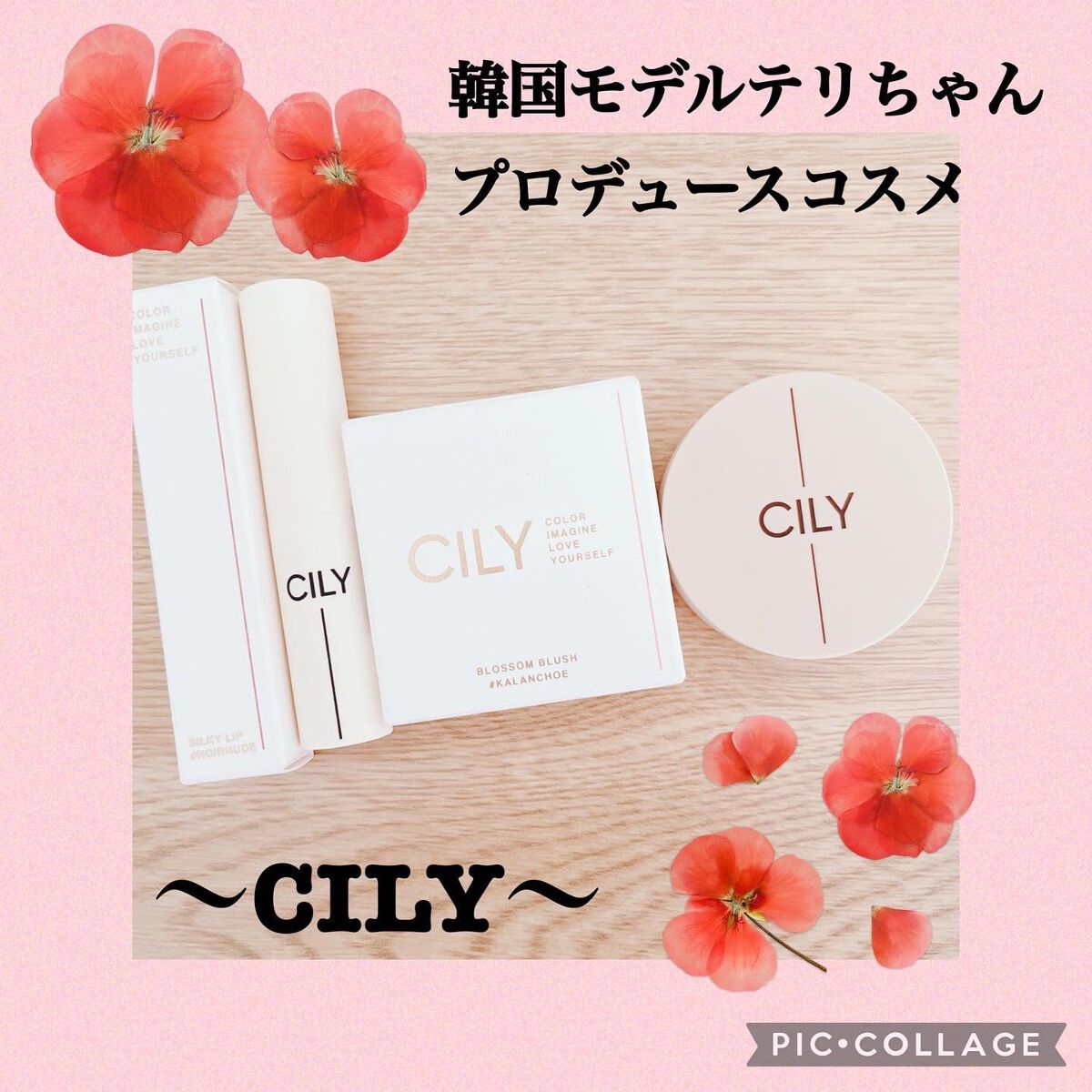 シルキーリップ #NOIR NUDE/CILY/口紅を使ったクチコミ（1枚目）