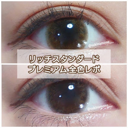 リッチスタンダード プレミアムシリーズ 1day/RICH STANDARD/ワンデー(1DAY)カラコンを使ったクチコミ(1枚目)