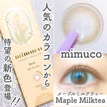 mimuco 1day メープルミルクティー/mimuco/ワンデー（１DAY）カラコンを使ったクチコミ（1枚目）