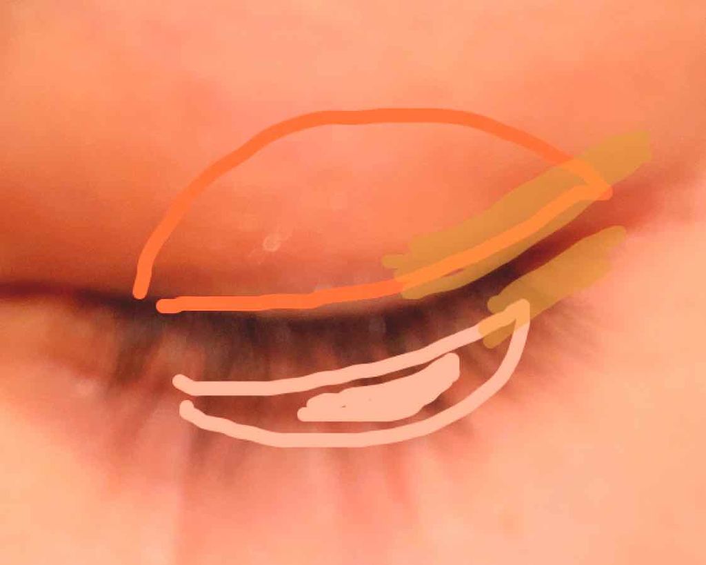 トーンアップアイシャドウ/CEZANNE/アイシャドウパレットを使ったクチコミ(2枚目)