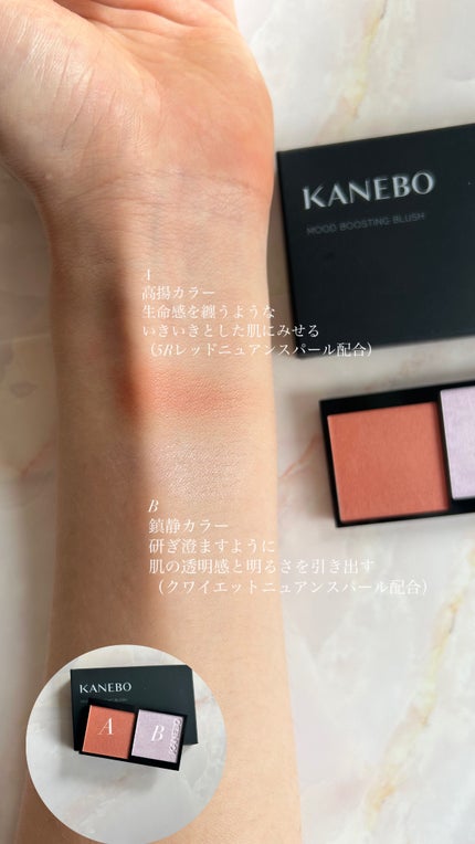 ライブリースキン ウェア/KANEBO/クリーム・エマルジョンファンデーションを使ったクチコミ(4枚目)