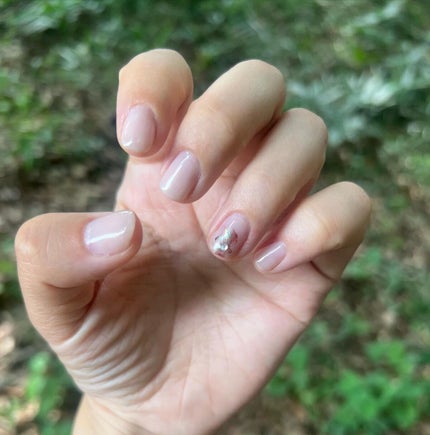 を使ったクチコミ(1枚目)