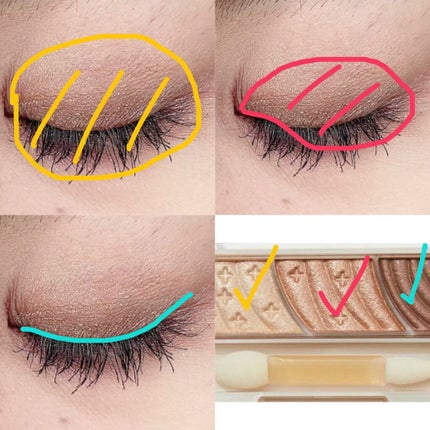 トーンアップアイシャドウ/CEZANNE/アイシャドウパレットを使ったクチコミ(2枚目)