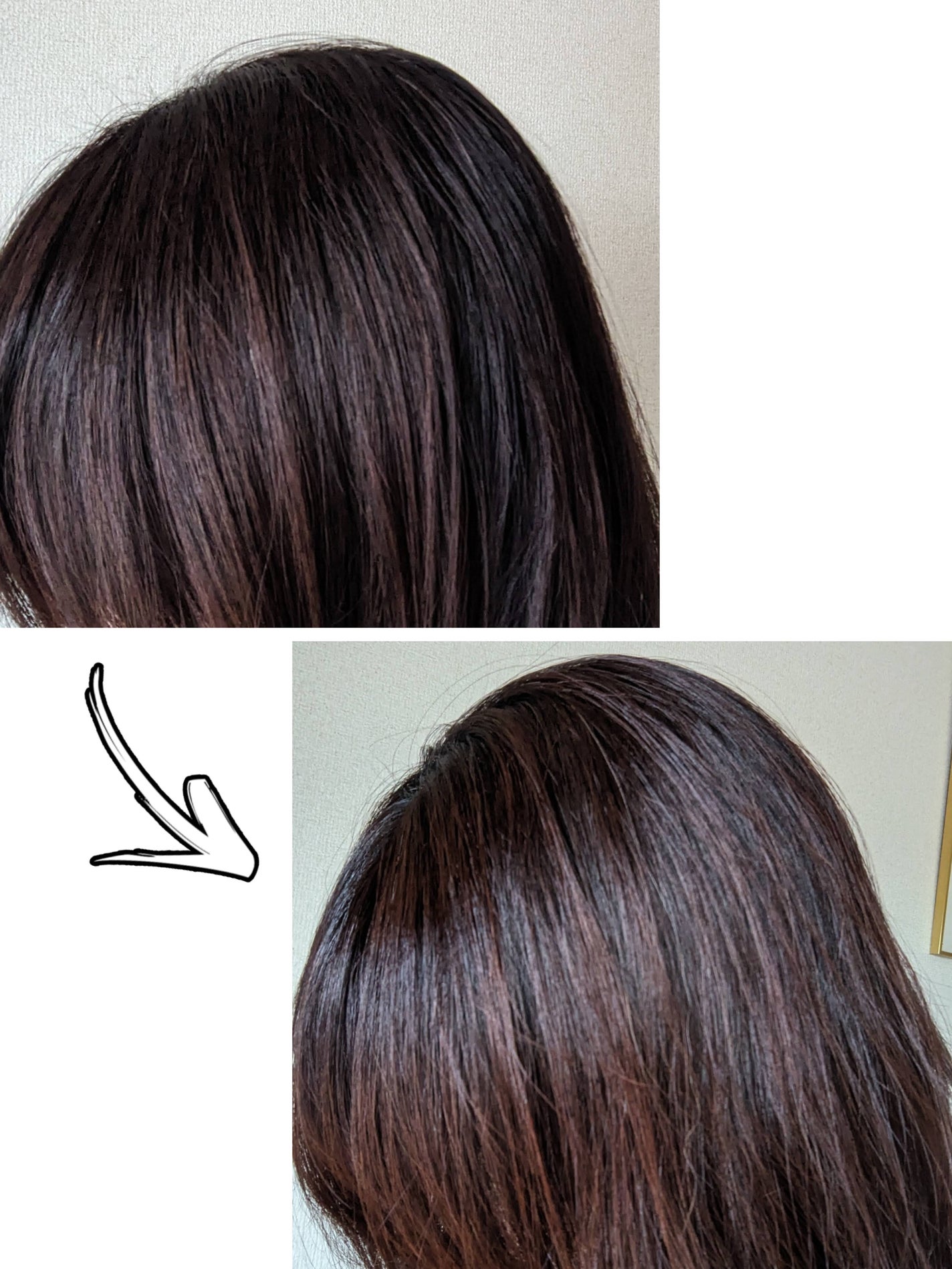 エブリカラーフォームシャンプー/アンナドンナ/市販シャンプーを使ったクチコミ(6枚目)