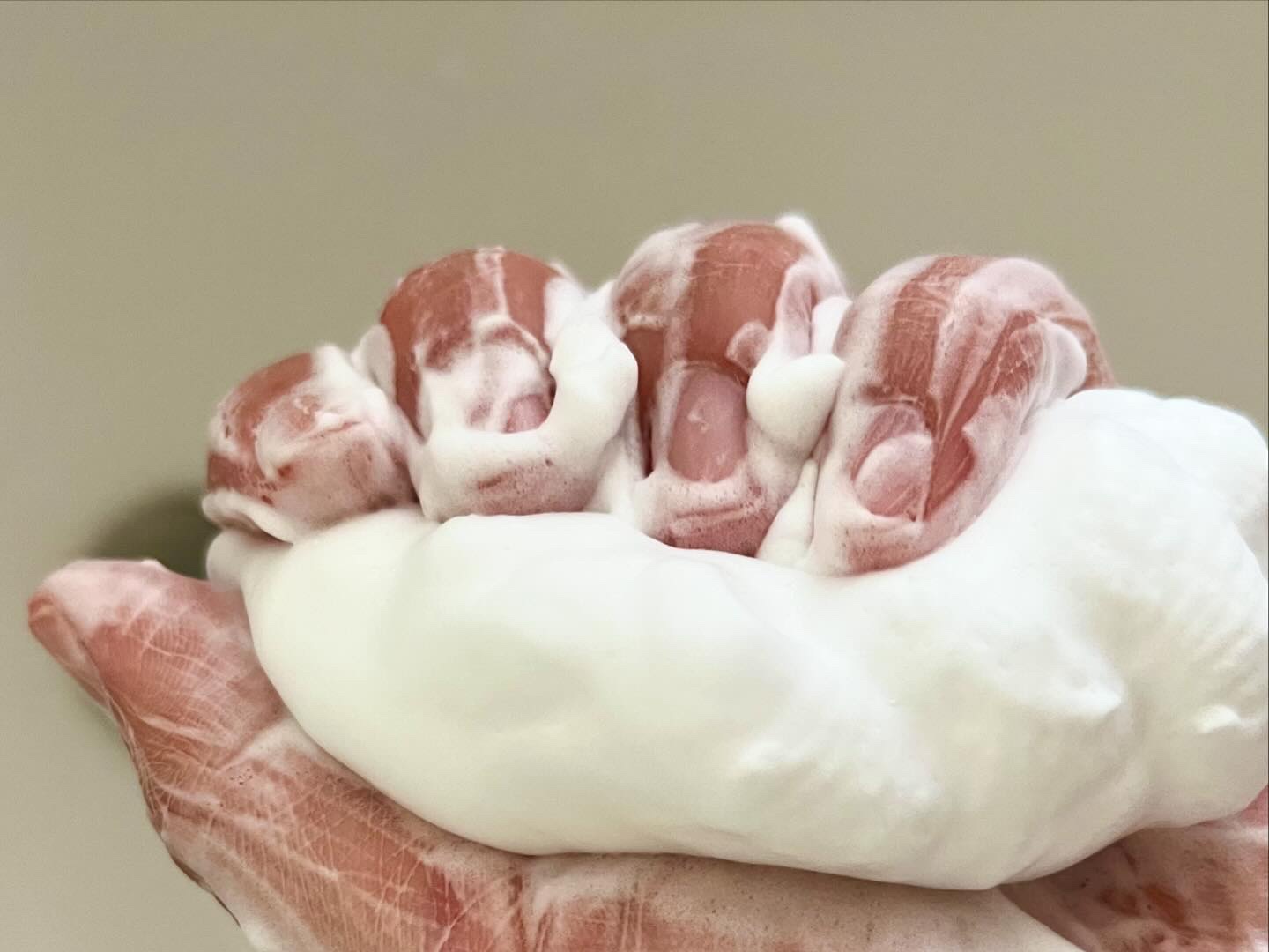 クリーミーウォッシュ/HALCA/洗顔フォームを使ったクチコミ（3枚目）