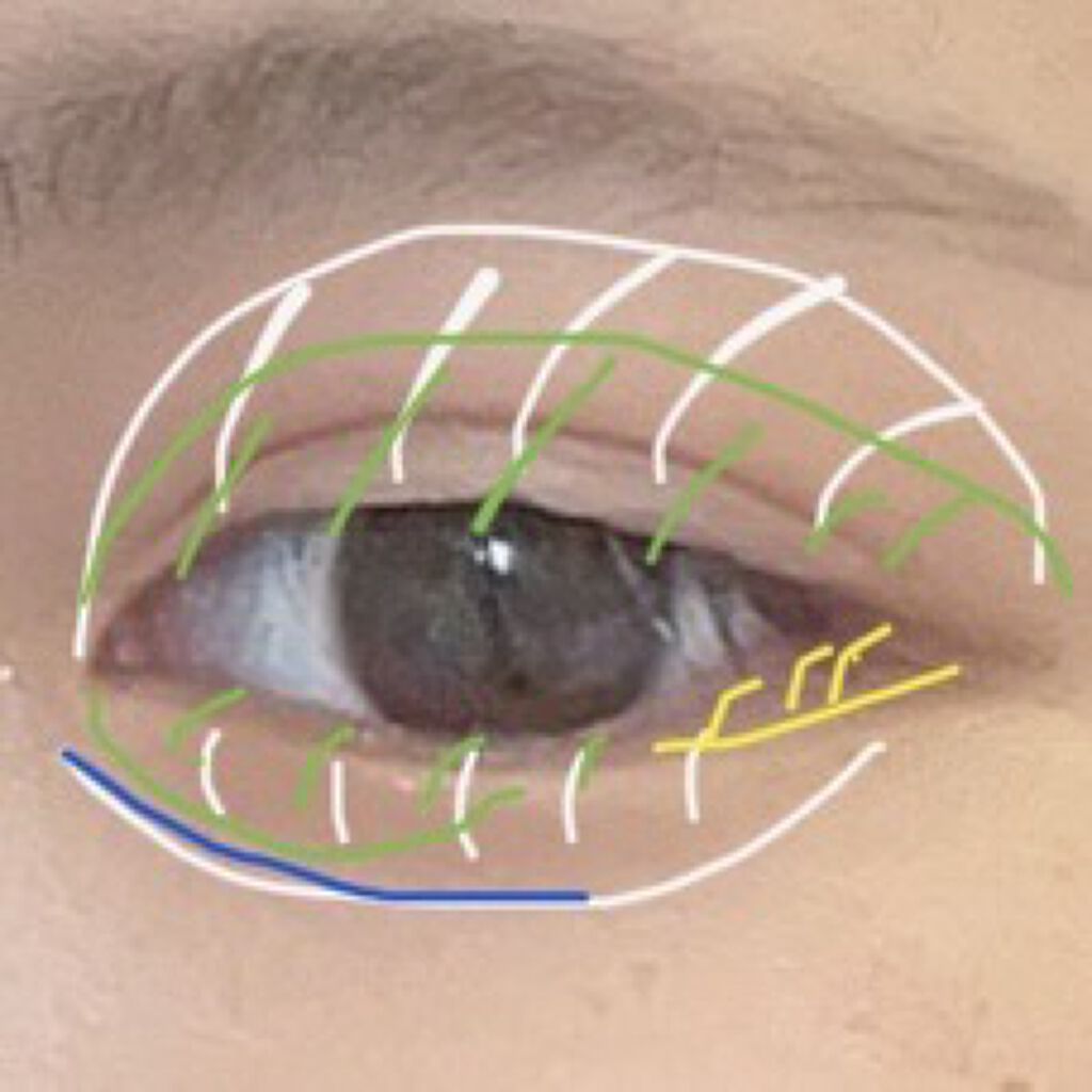 サイレントカバー コンシーラー/excel/パレットコンシーラーを使ったクチコミ（2枚目）