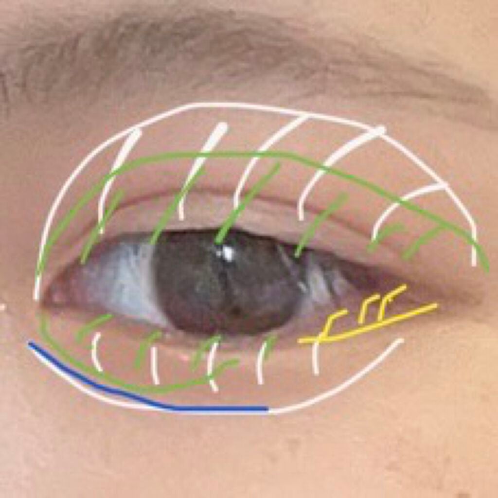 サイレントカバー コンシーラー/excel/パレットコンシーラーを使ったクチコミ(2枚目)