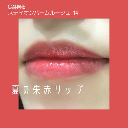 ステイオンバームルージュ/キャンメイク/口紅を使ったクチコミ(1枚目)