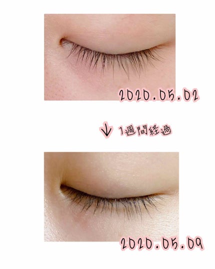 ラッシュジェリードロップ EX/MAJOLICA MAJORCA/まつげ美容液を使ったクチコミ(2枚目)