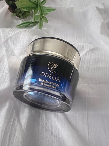 リンクル&ホワイト オールインワンクリーム/ODELIA/オールインワン化粧品を使ったクチコミ(1枚目)