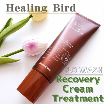 ウルトラプロテイン ヘアトリートメント/Healing bird/洗い流すヘアトリートメントを使ったクチコミ(1枚目)