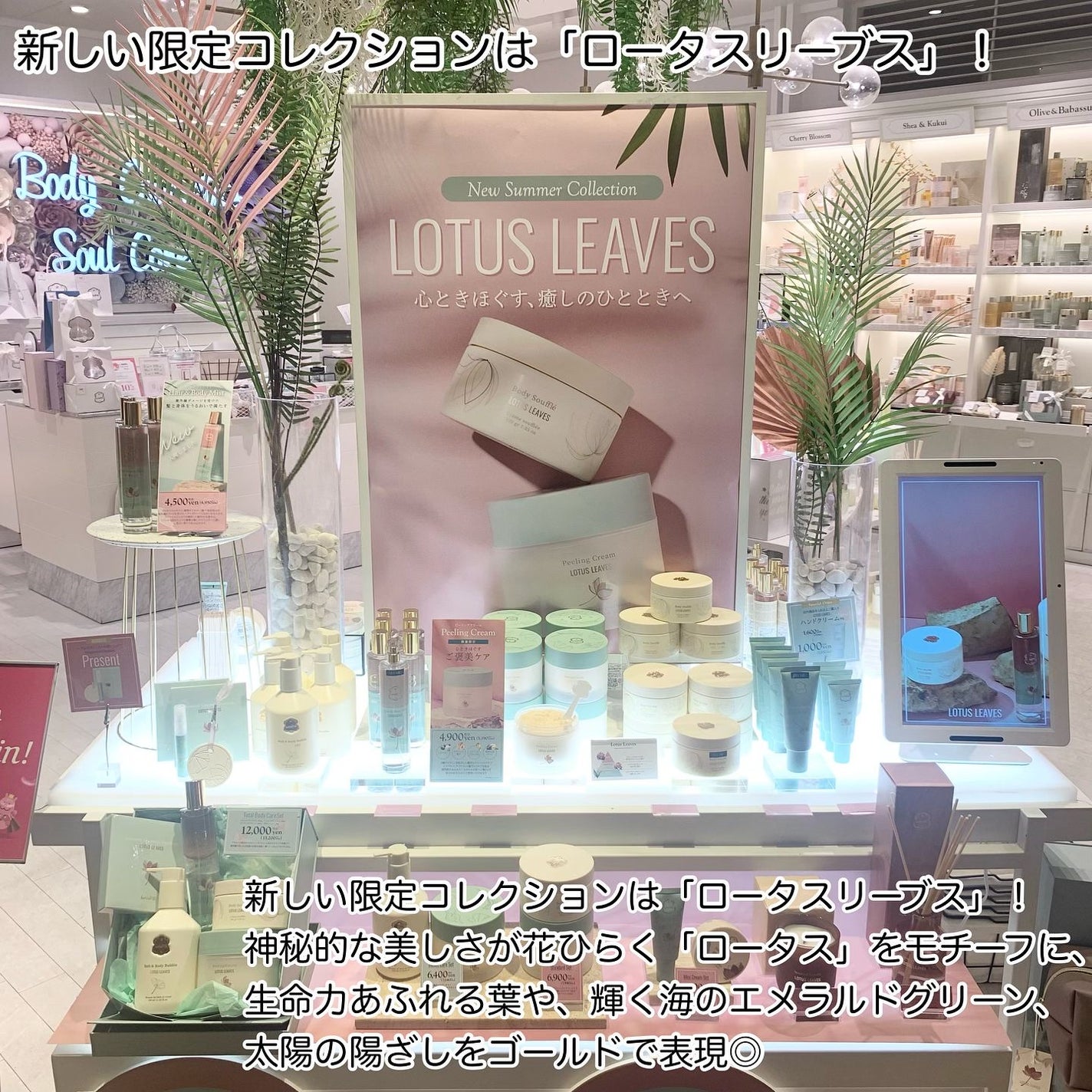 デッドシーミネラルズ ボディクリーム/Laline/ボディクリームを使ったクチコミ(9枚目)