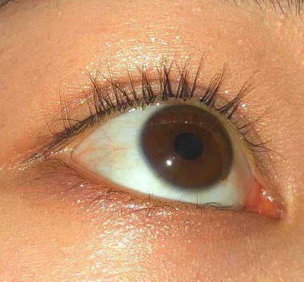 スキニーリッチシャドウ/excel/アイシャドウパレットを使ったクチコミ(2枚目)